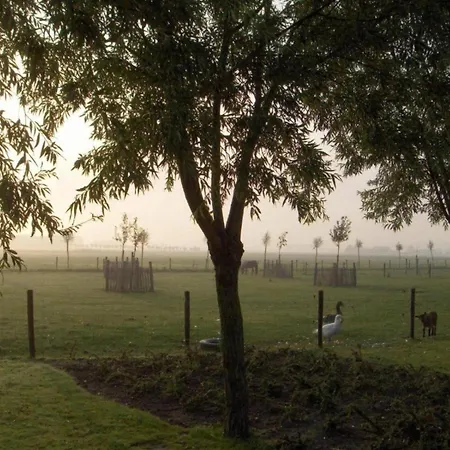 In Heist Near The Apartamento