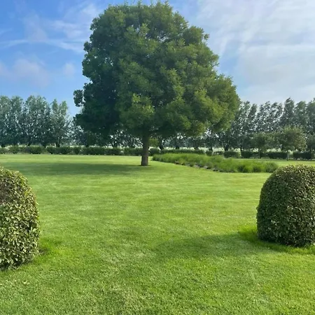 In Heist Near The Apartamento *