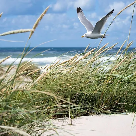 In Heist Near The * Knokke-Heist